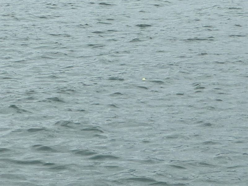 Boya de pesca impresa en 3D por Dena3D flotando en el mar